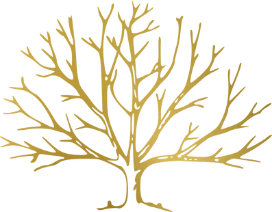 Gold Leafless Tree